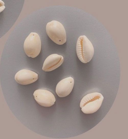 Cowrie Shells - Natural - 18-20mm - 10 Stück - with 1 hole