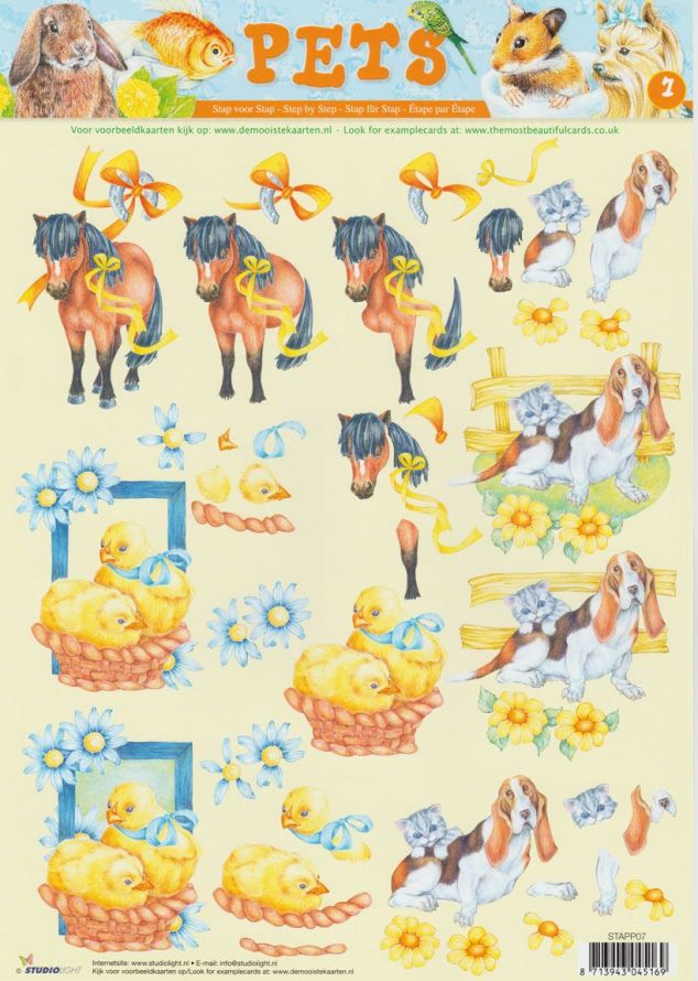 Pets  - 3DA4 Stap voor Stap Knipvel
