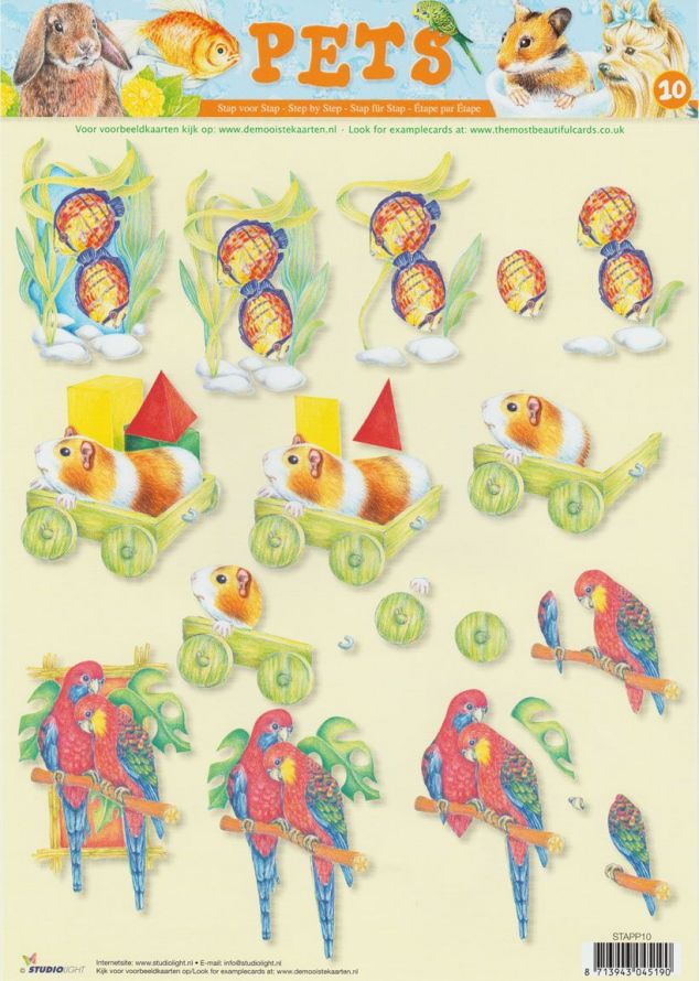 Pets  - 3DA4 Stap voor Stap Knipvel