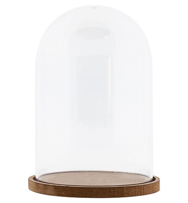 Plastic Dome with MDF Baseplate - Ø11cm - 15,5cm High