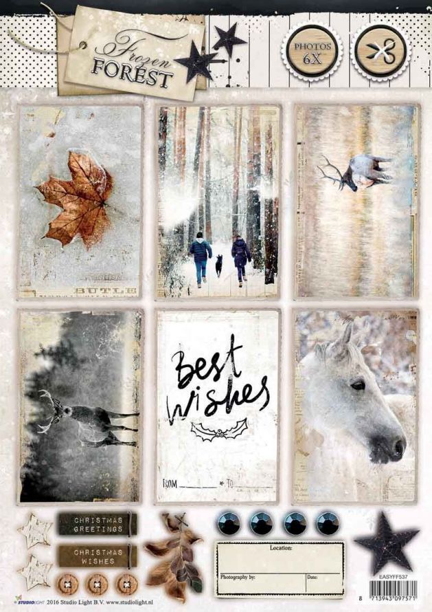 Frozen Forest - Christmas - 3DA4 Photo Die-cut Sheet