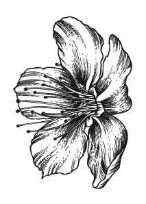 Flower - Clear Stamp - A7