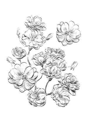 Blumen - Clear Stempel