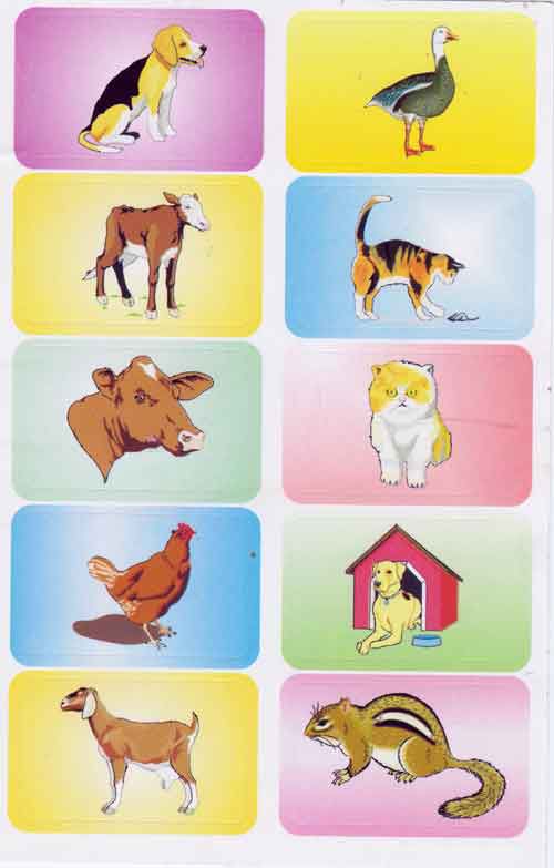 Tier Sticker Bogen